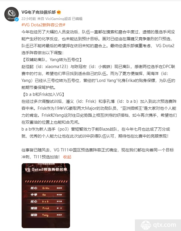 VG.J战队阵容深度解析