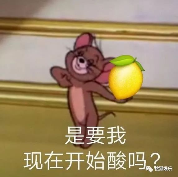 Betakkuma熊表情包，一种独特的网络文化现象