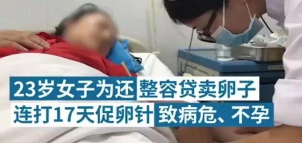 取卵后为何两天内移植，原因与考量