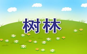 大班美术手工纸筒教案