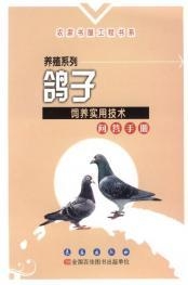 鸽子自动门连接技术指南