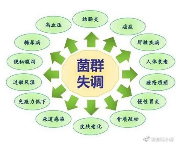 感应自动门，灵活便利与节能之间的平衡——避免长时间关闭的重要性