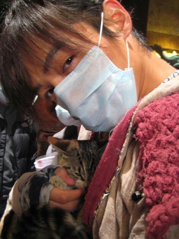 家庭养猫一本通，全方位指南与实用建议