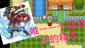 小智夺冠阵容，策略与力量的完美结合