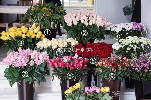 木本鲜切花品种，多样性与市场潜力